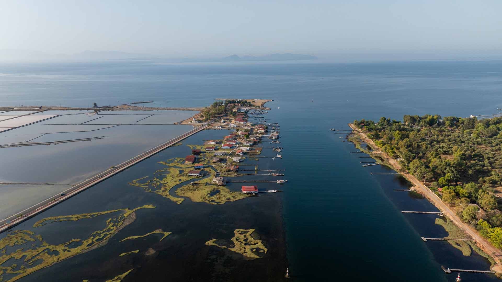 Alt text not provided