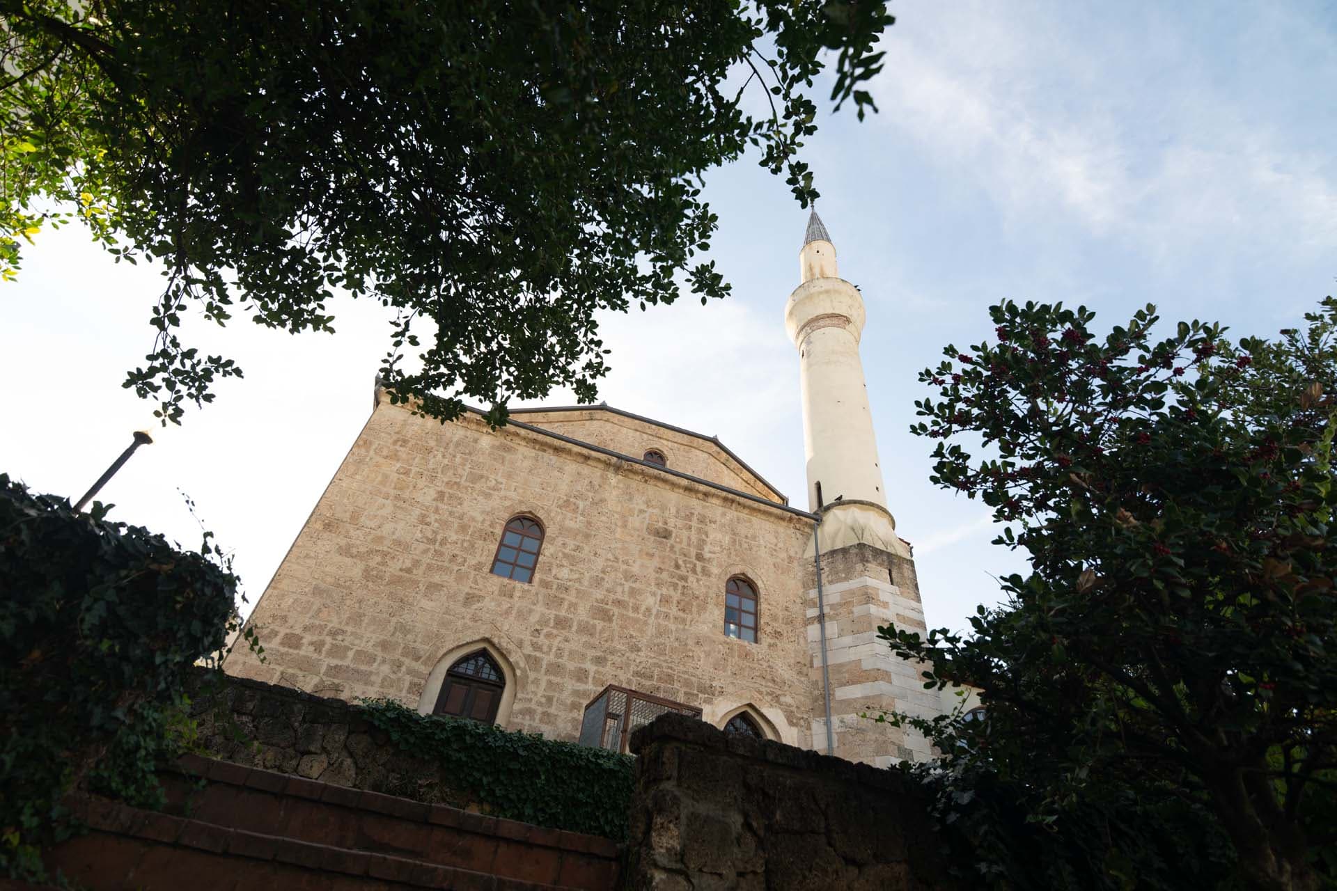 Alt text not provided