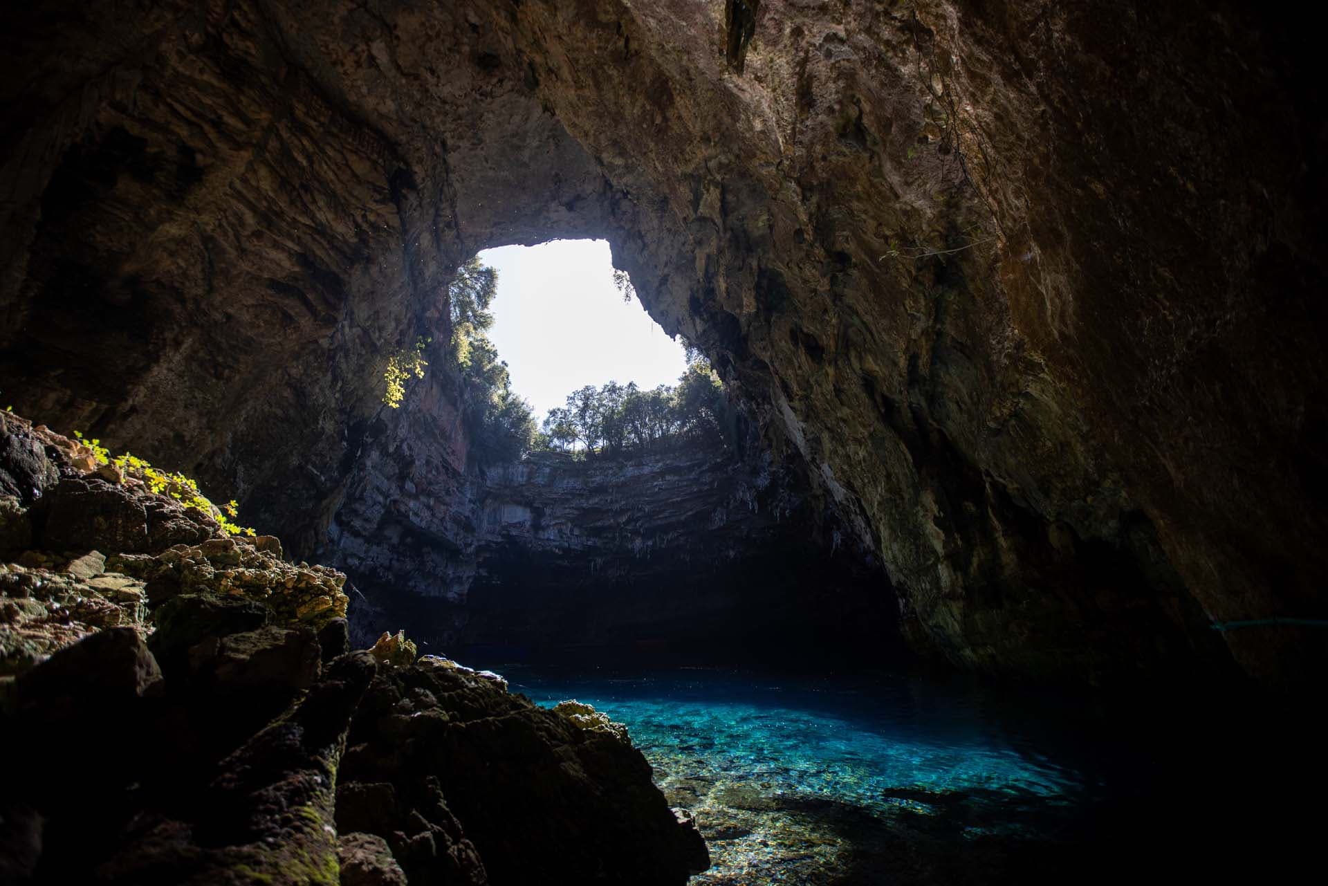 Alt text not provided