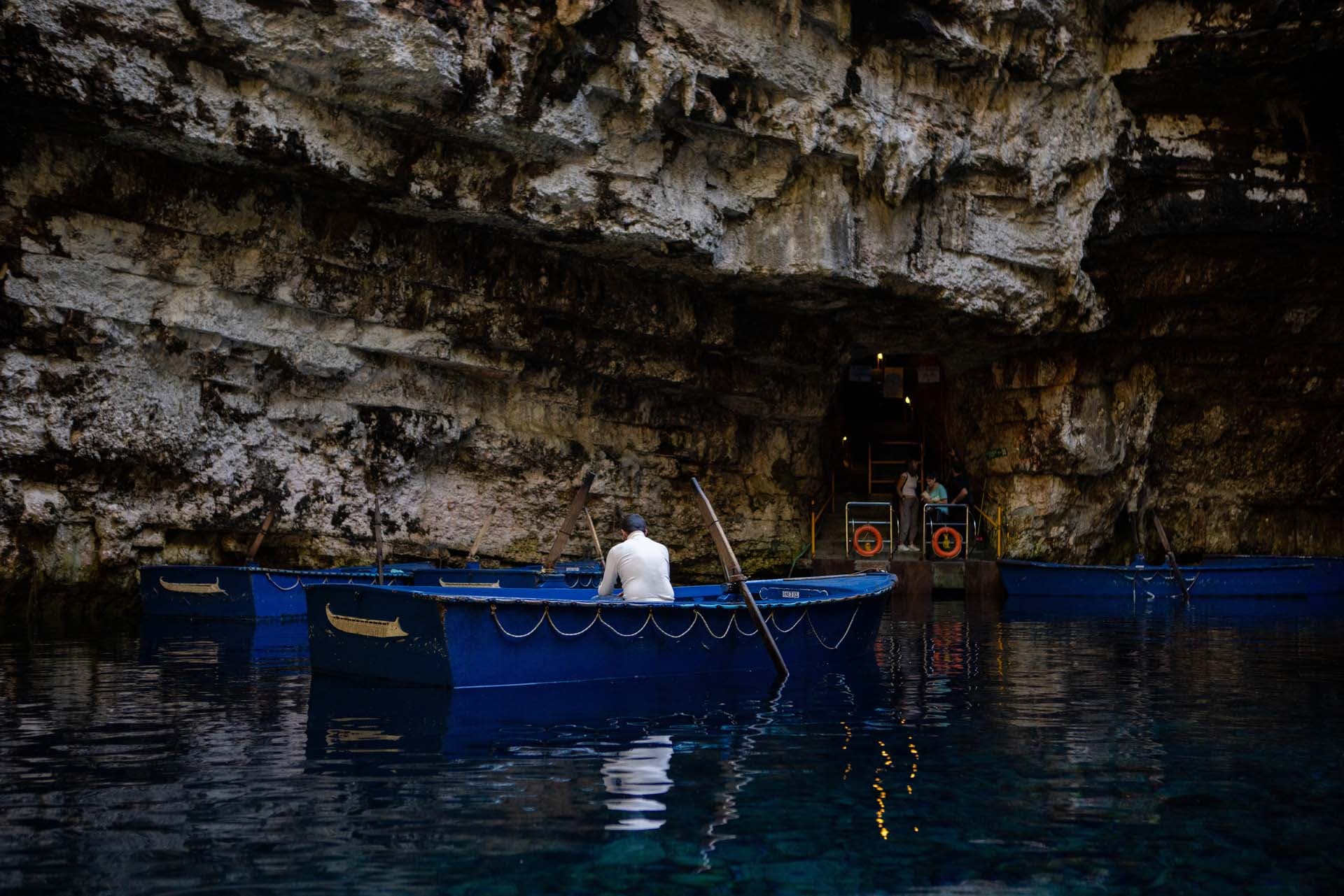 Alt text not provided