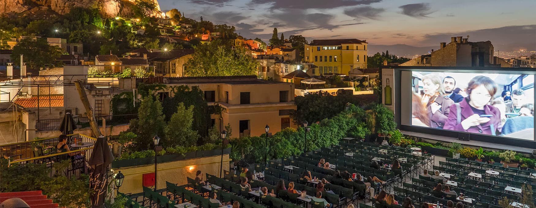 Star-studded Summer Nights