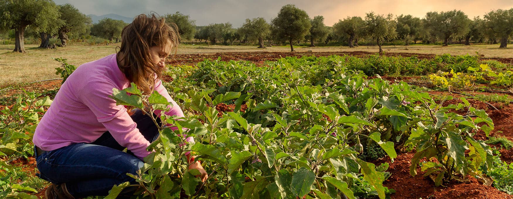 Agritourism
