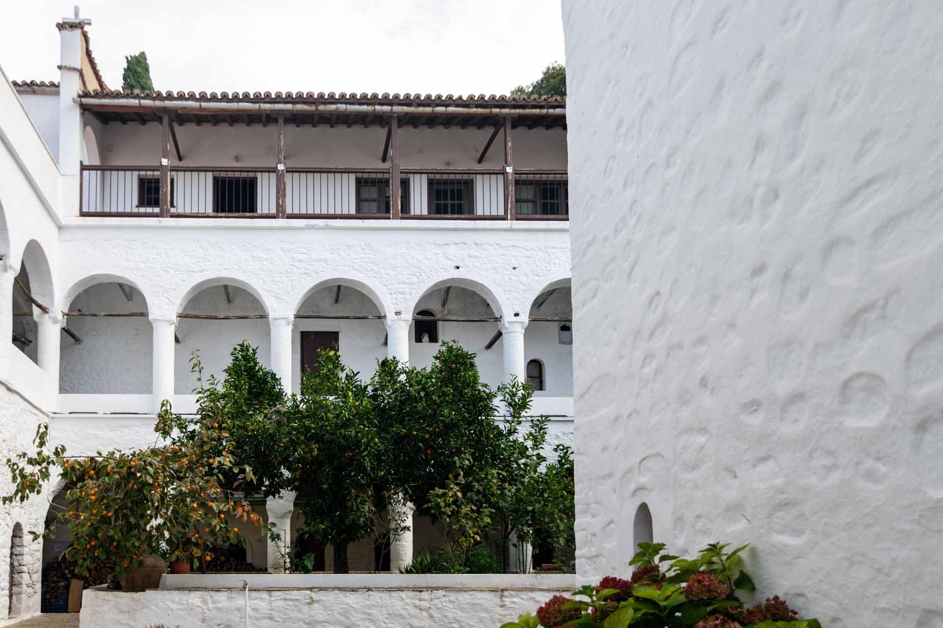 Alt text not provided