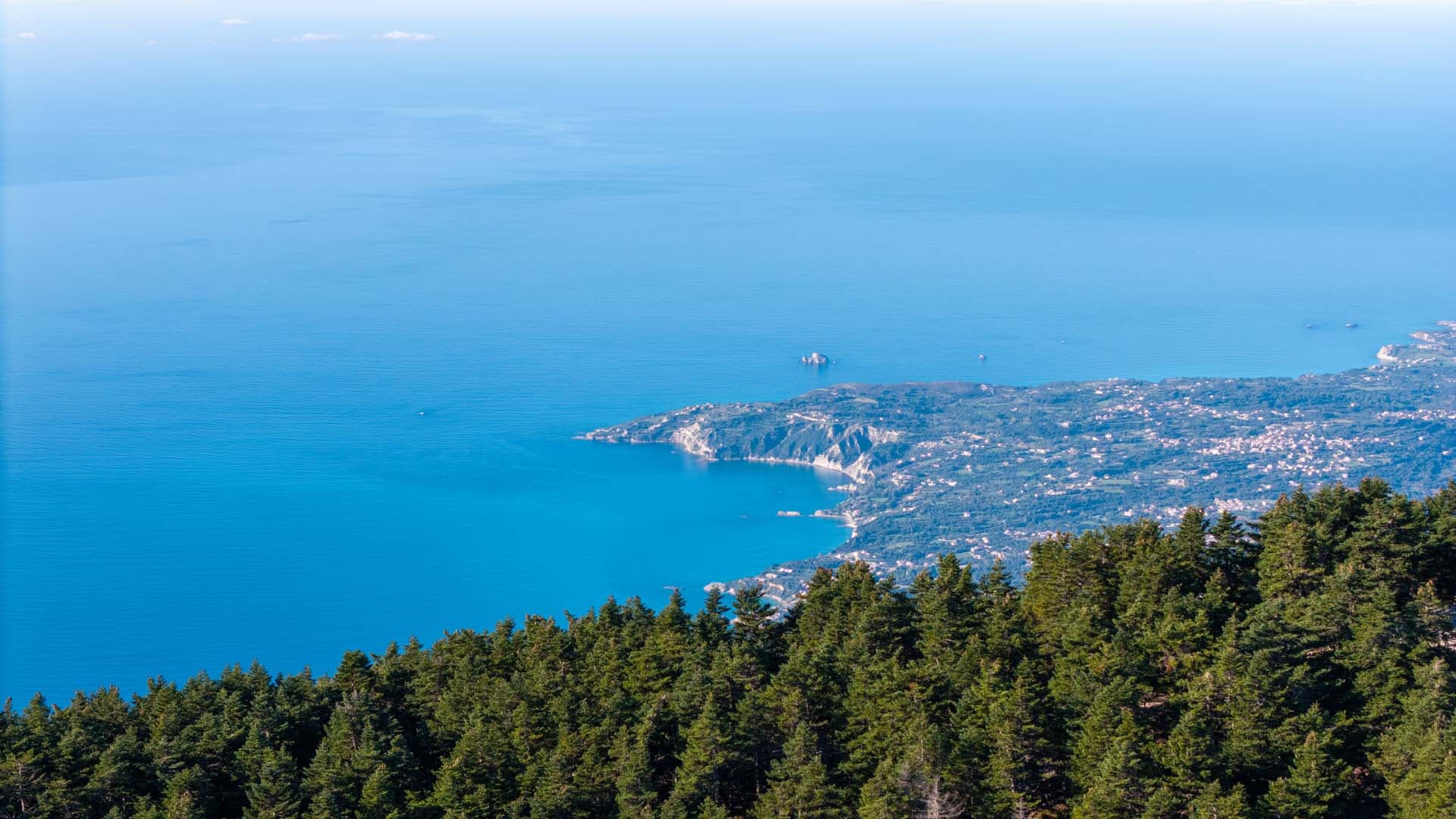 Alt text not provided