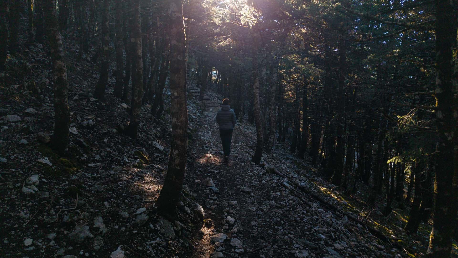 Alt text not provided