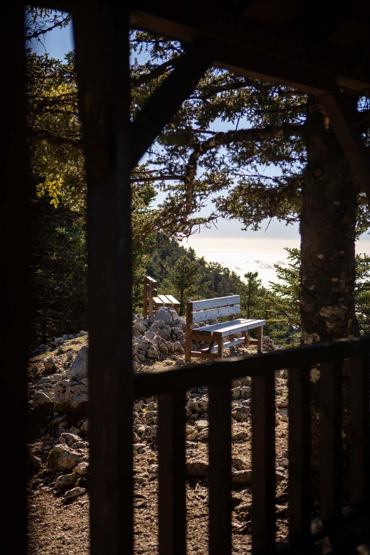 Alt text not provided