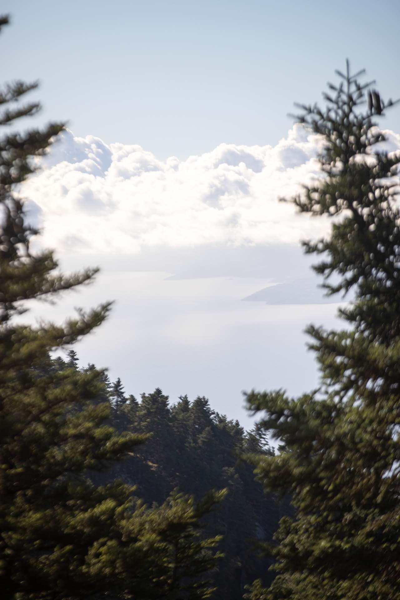 Alt text not provided