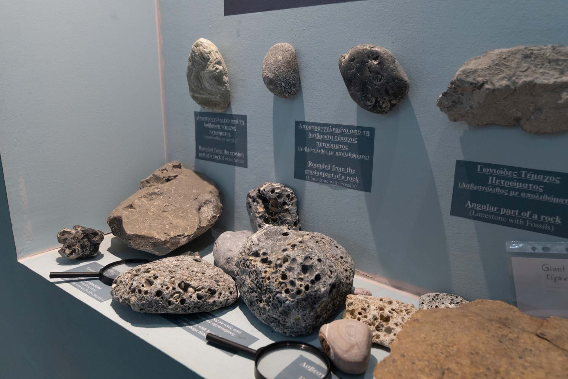 Alt text not provided