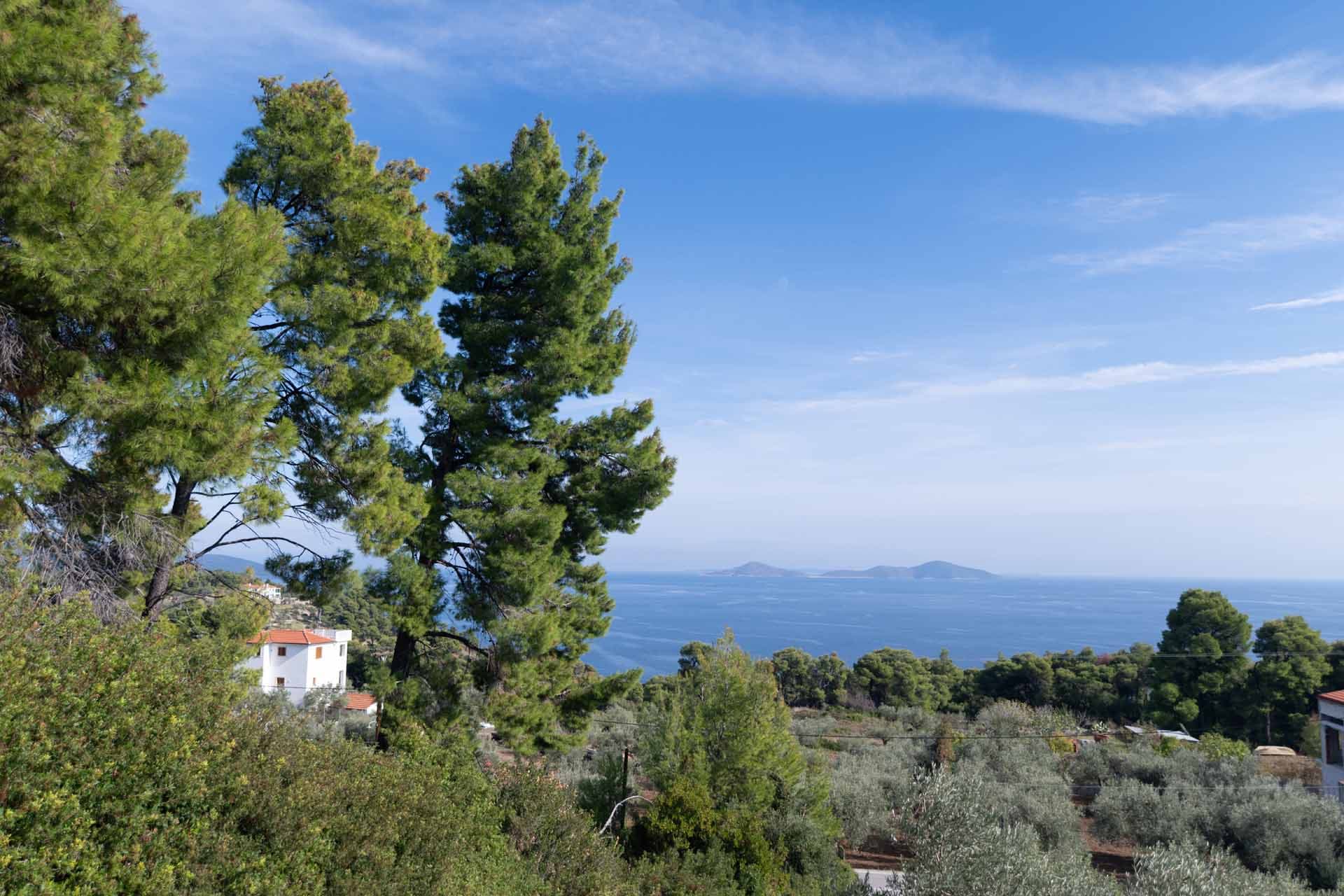 Alt text not provided