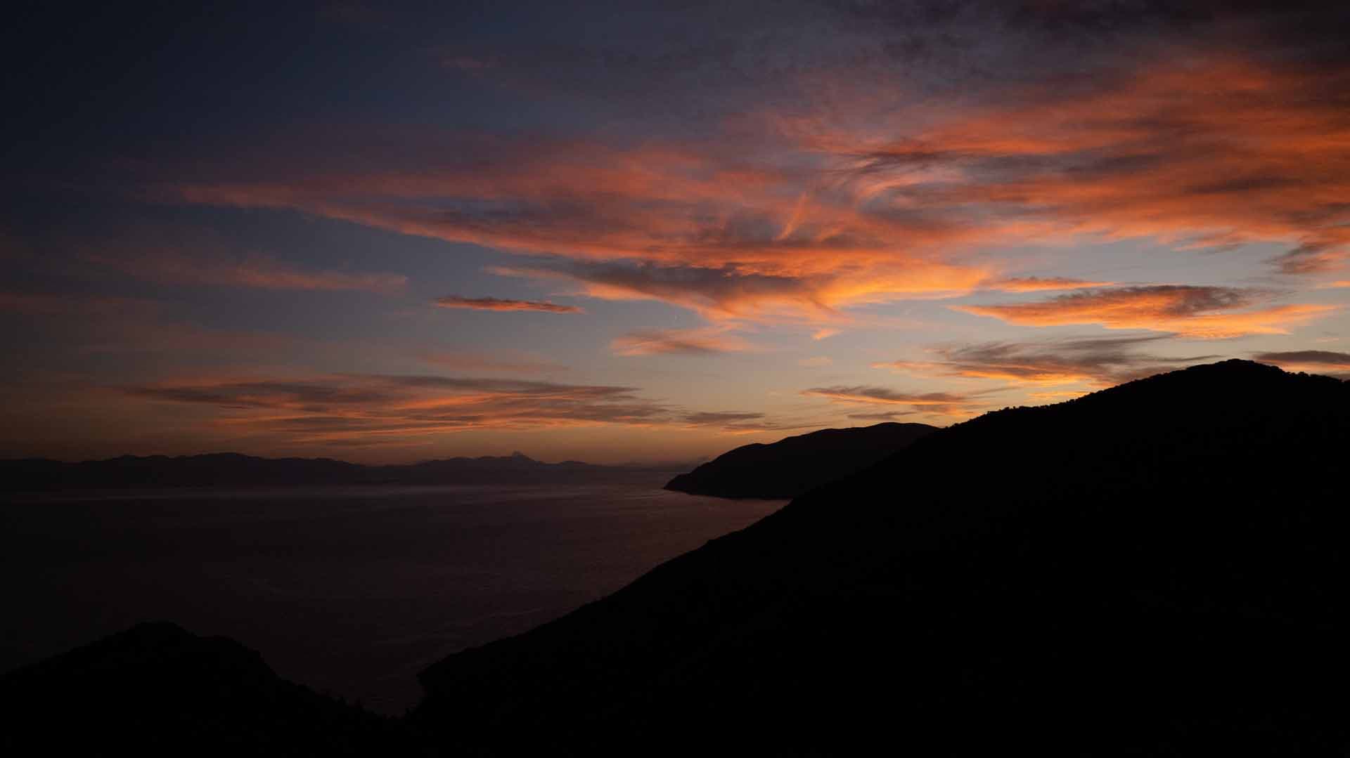 Alt text not provided