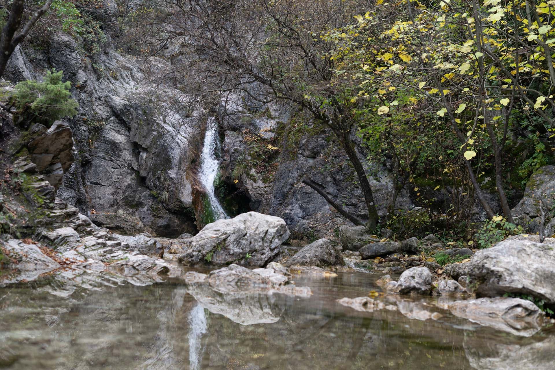 Alt text not provided