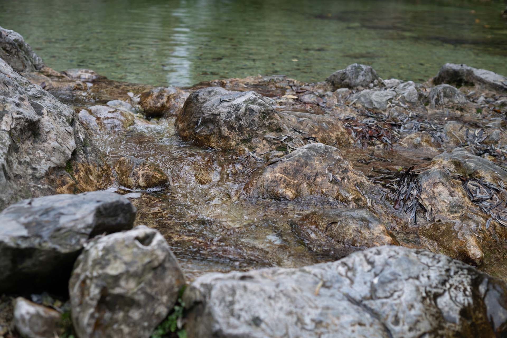 Alt text not provided