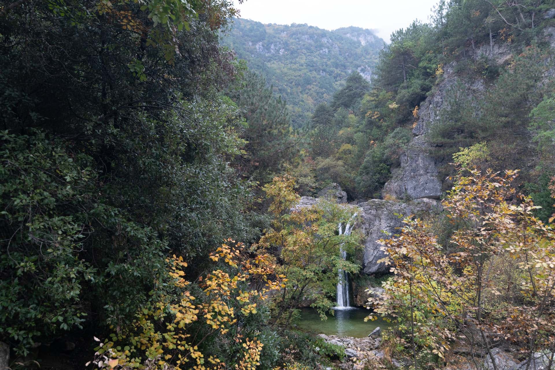 Alt text not provided