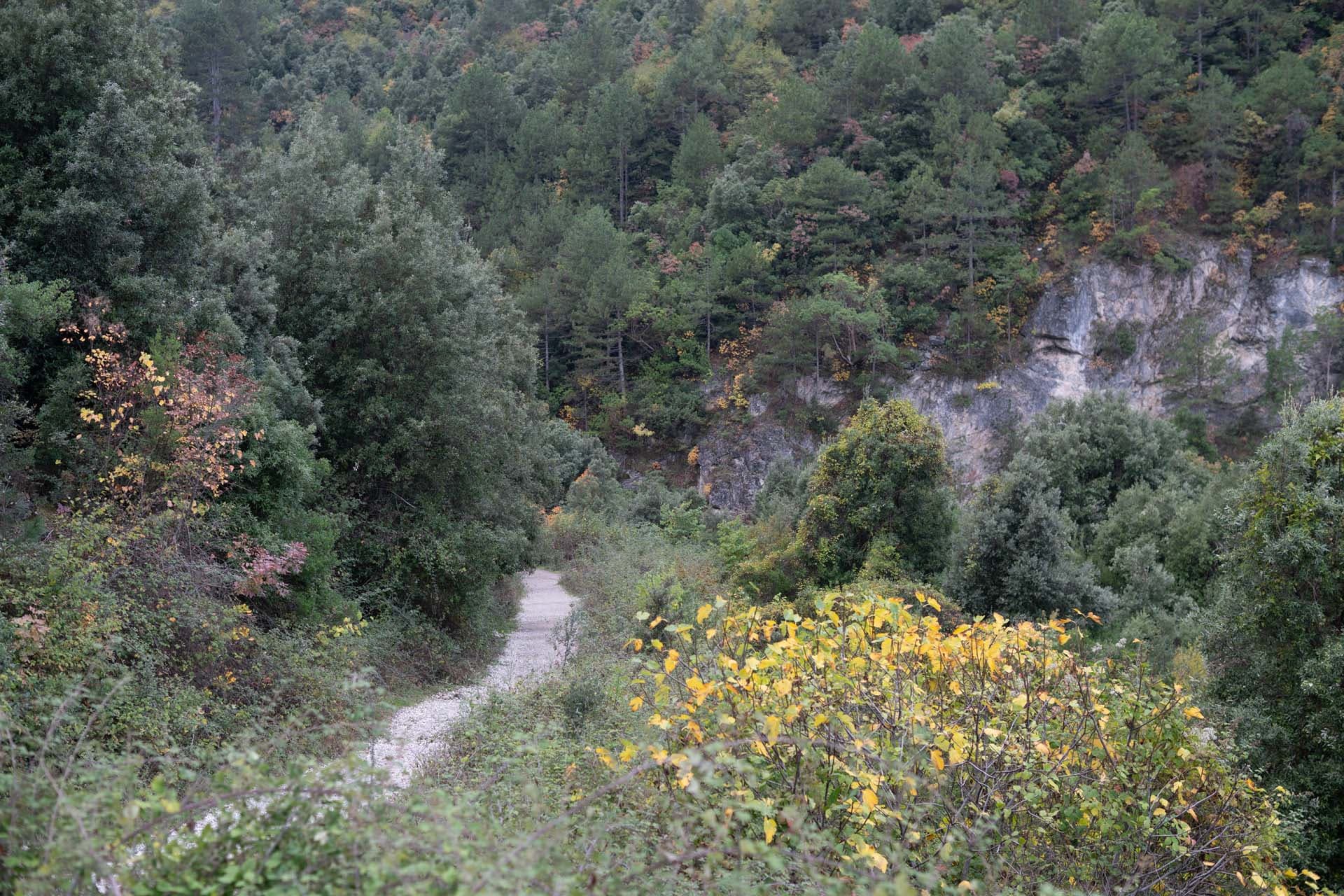 Alt text not provided