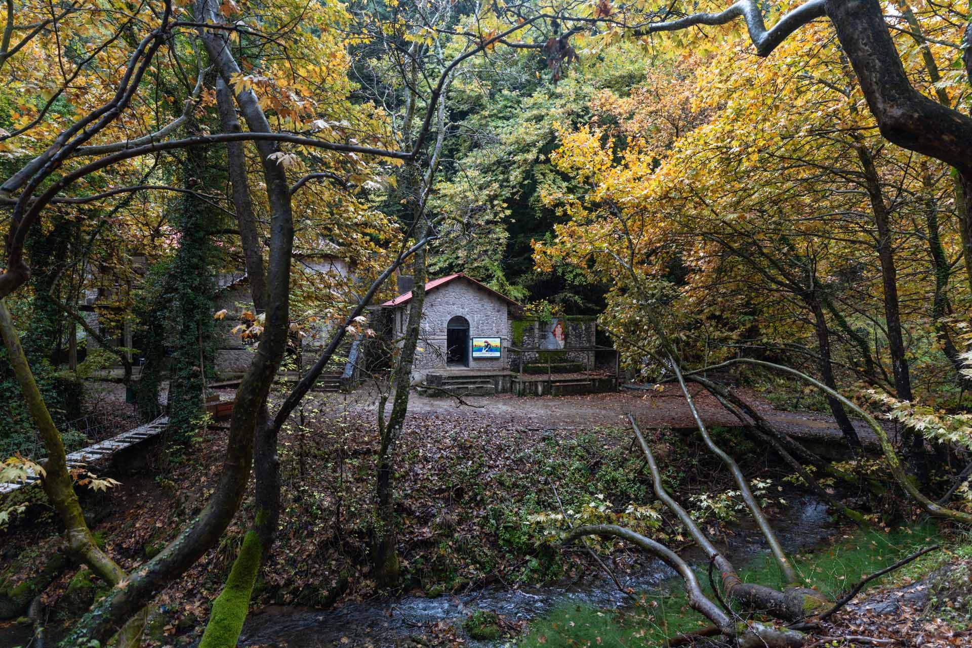 Alt text not provided