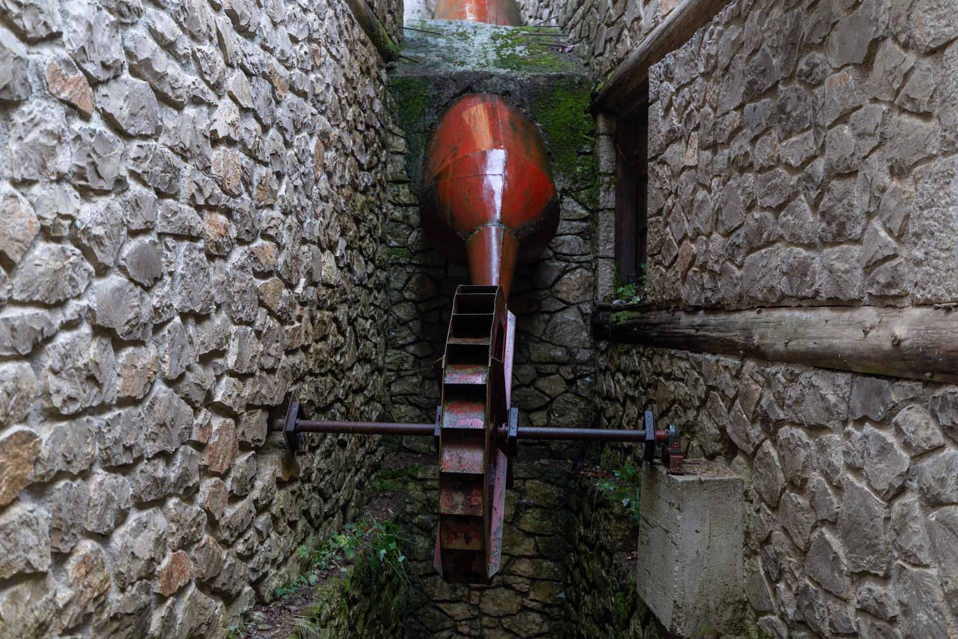 Alt text not provided