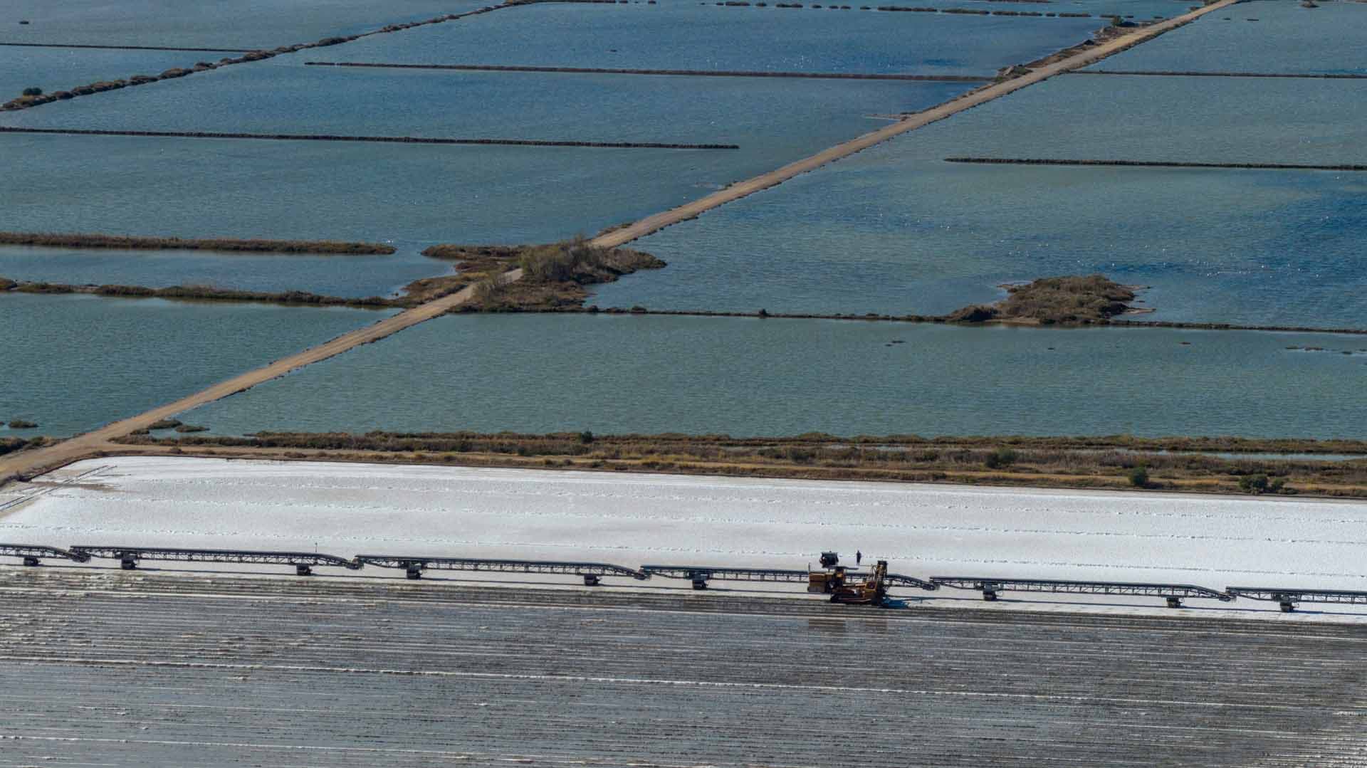 Alt text not provided