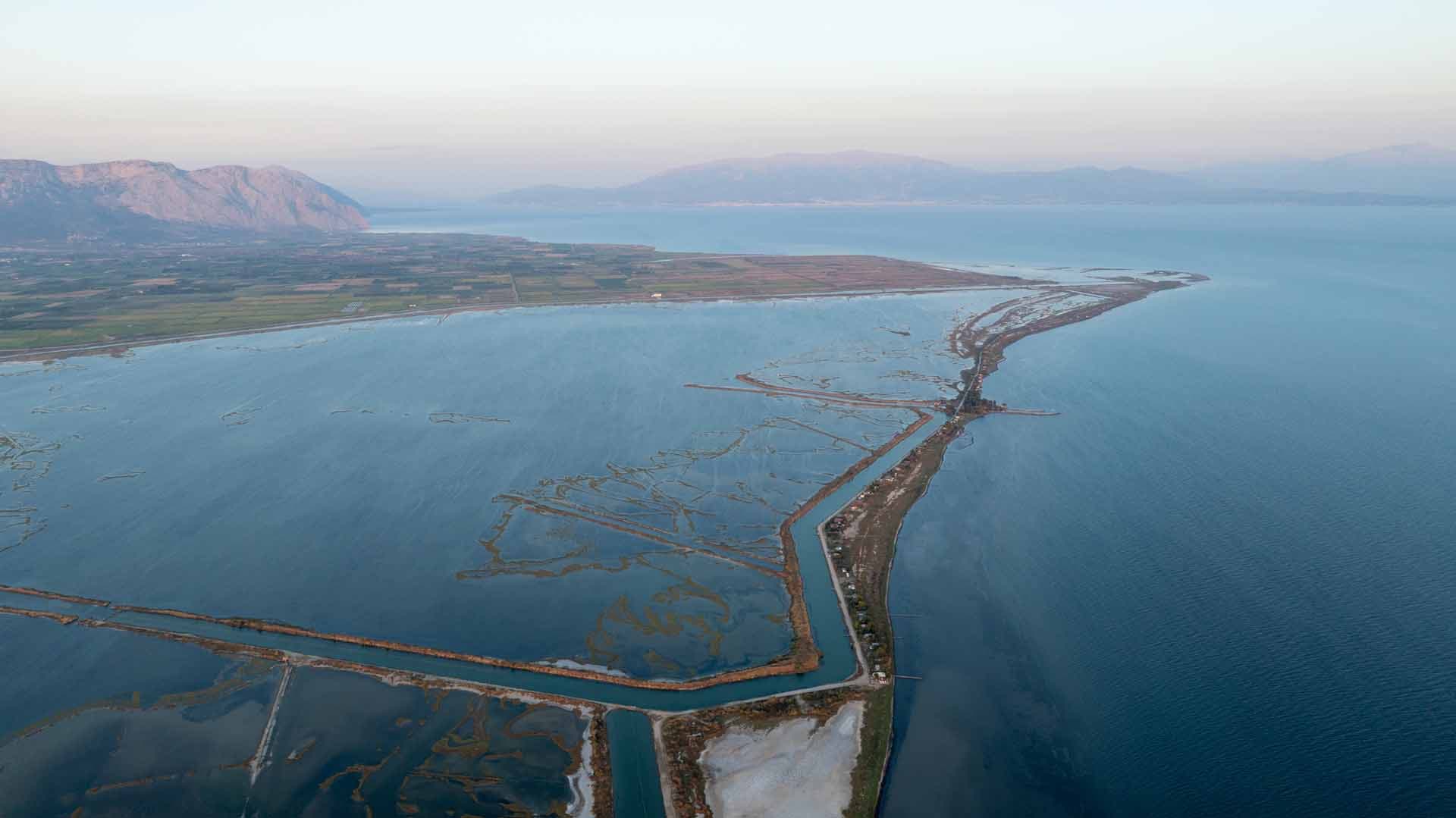 Alt text not provided