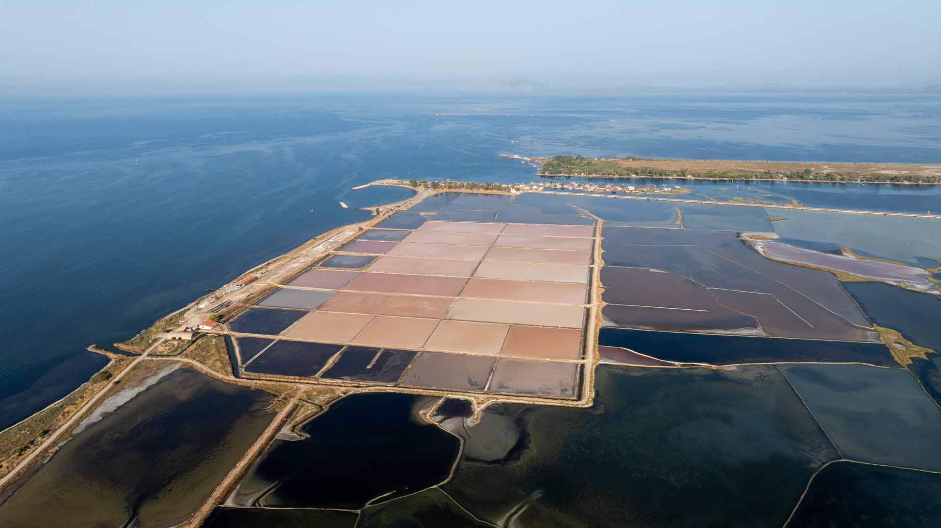 Alt text not provided