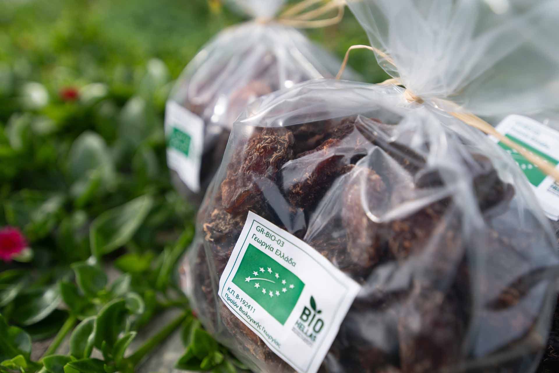 Alt text not provided