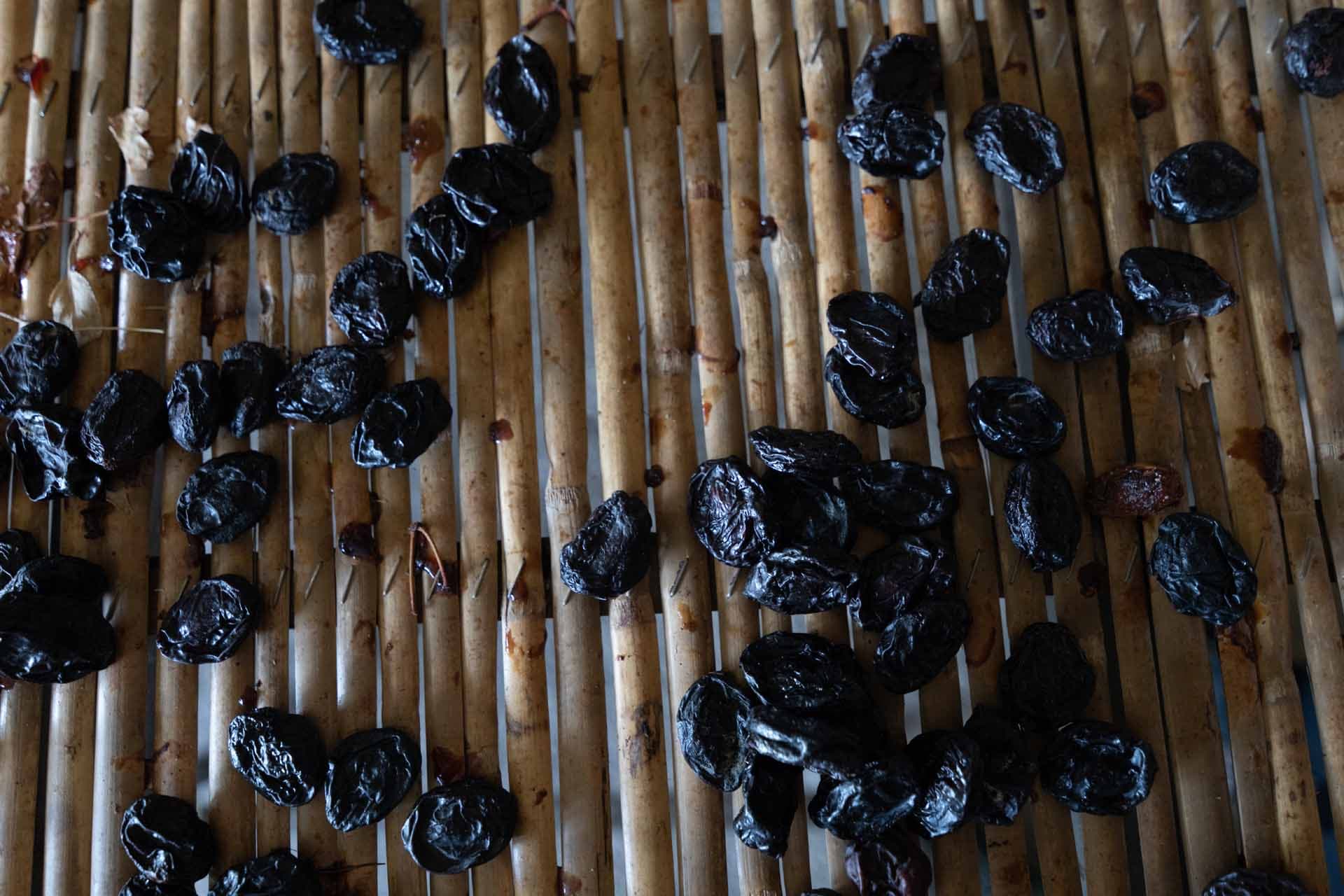 Alt text not provided