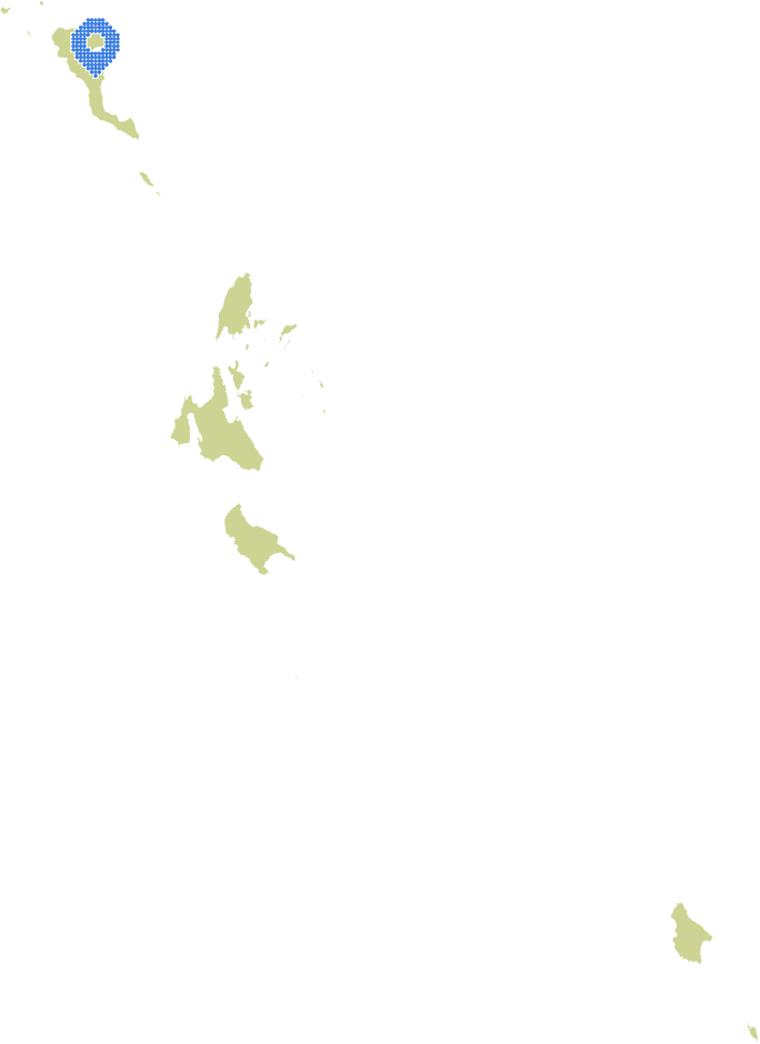 Overview Image