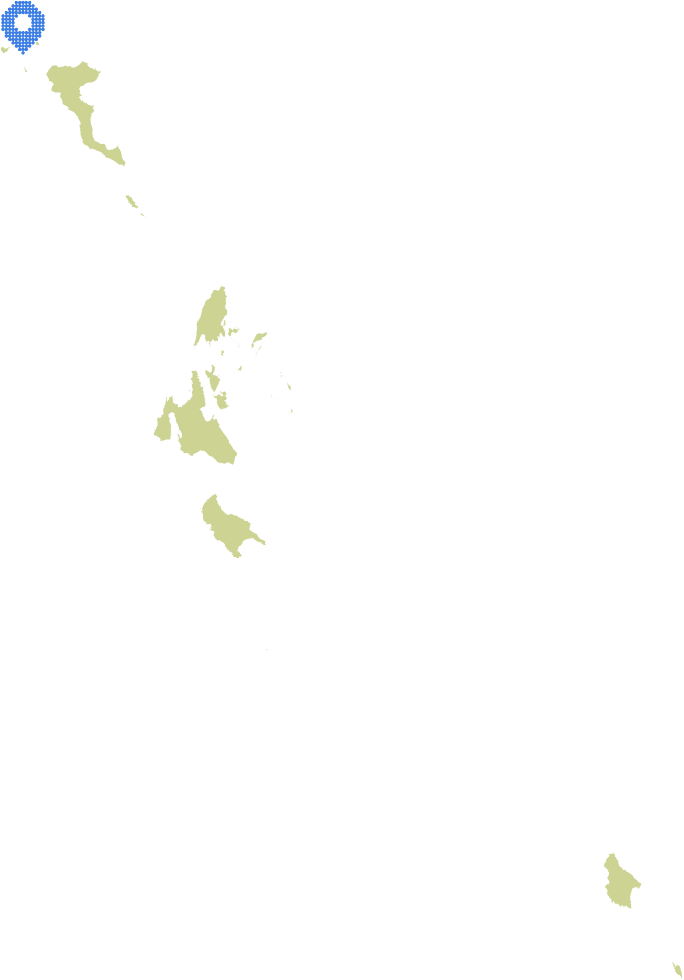 Overview Image