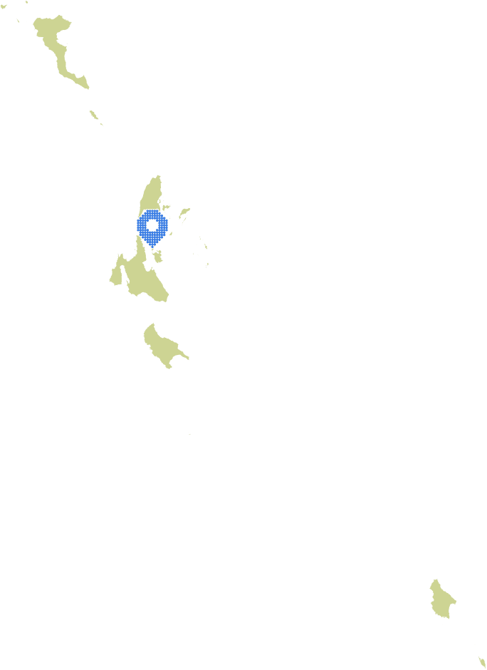 Overview Image