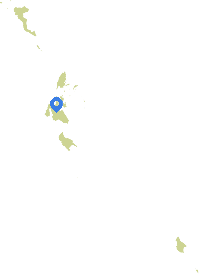 Overview Image