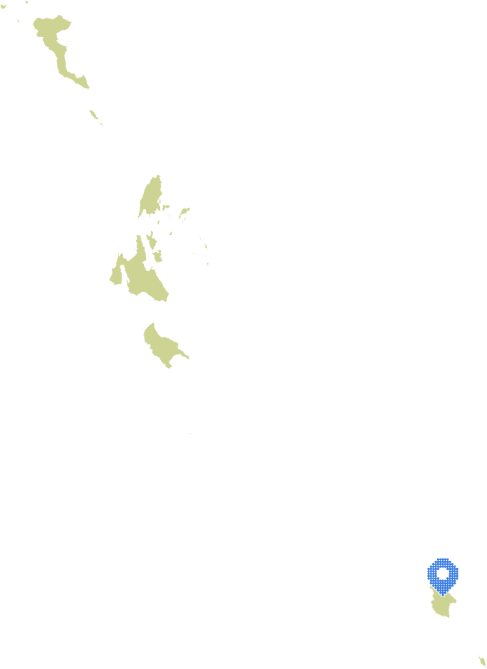 Overview Image
