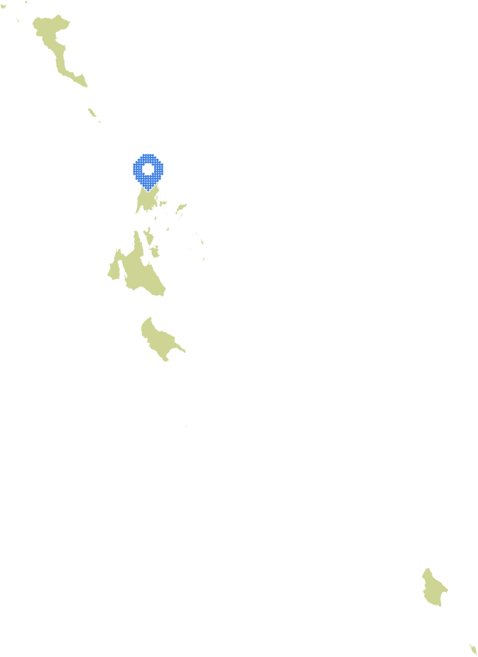 Overview Image