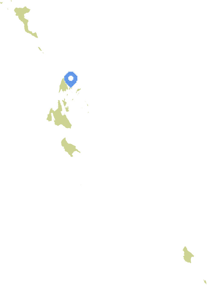 Overview Image