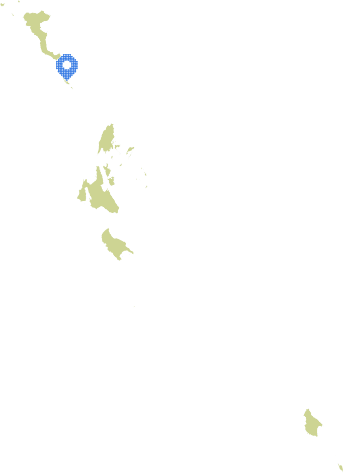 Overview Image