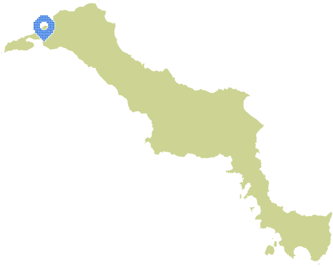 Overview Image