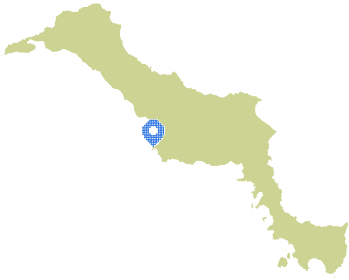 Overview Image