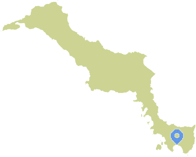 Overview Image
