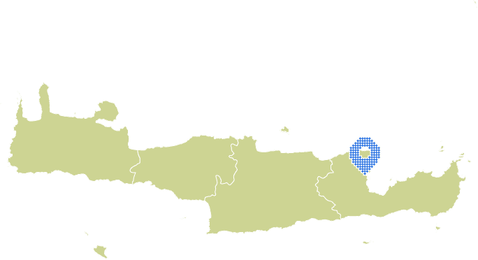 Overview Image