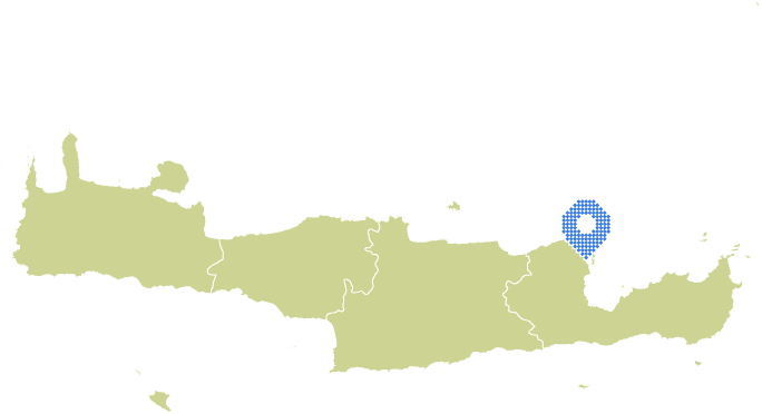 Overview Image
