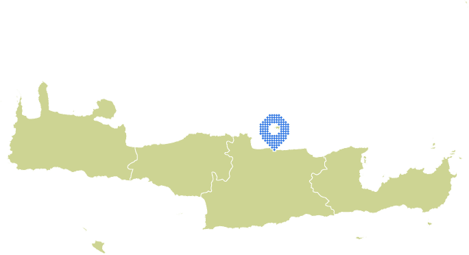 Overview Image