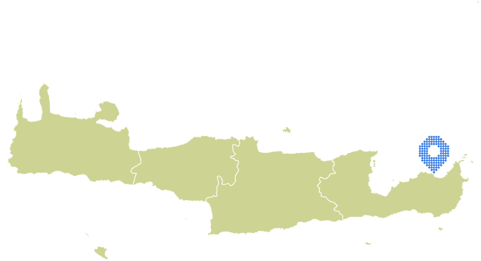 Overview Image