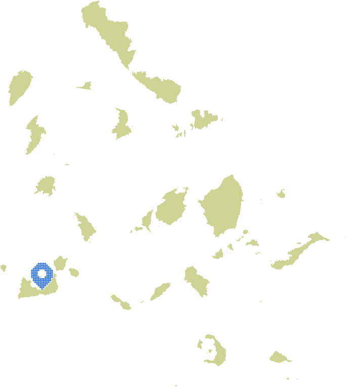 Overview Image
