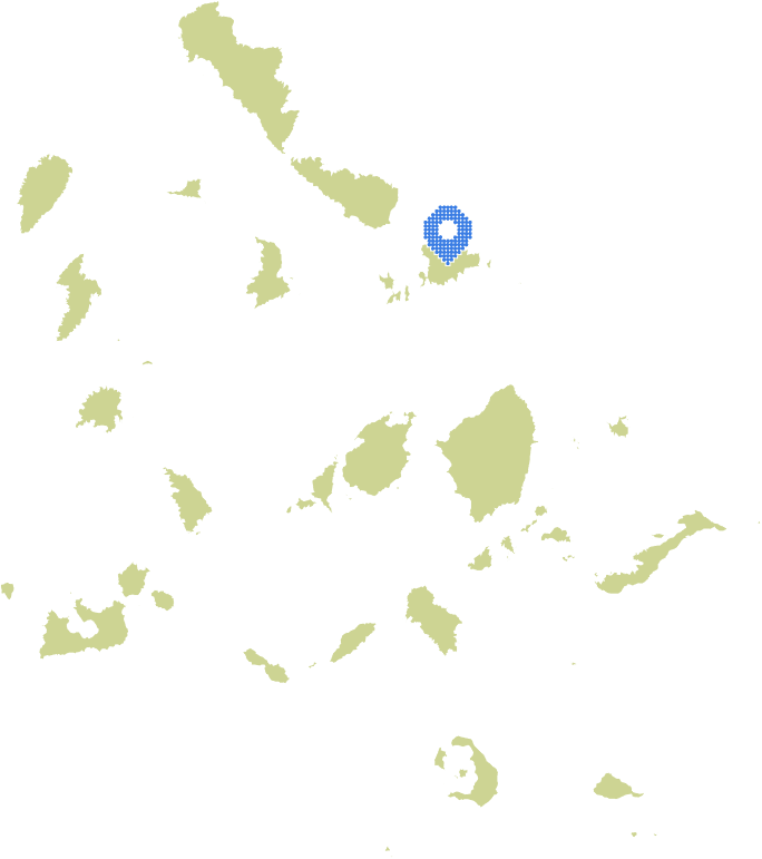 Overview Image