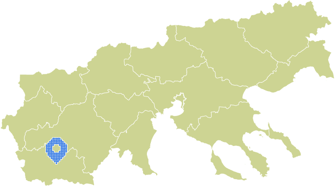 Overview Image