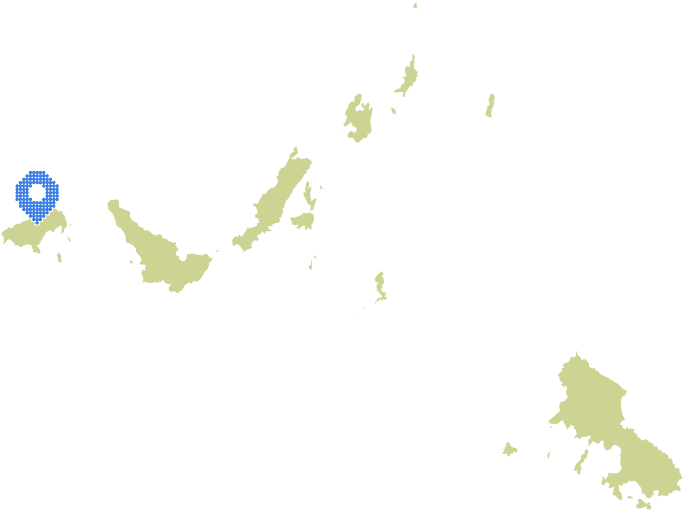 Overview Image