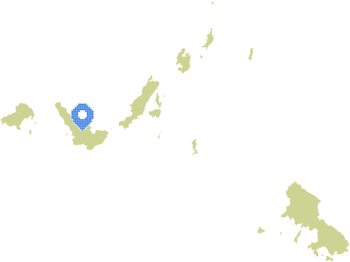 Overview Image
