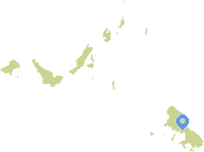 Overview Image