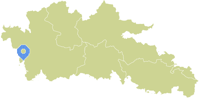 Overview Image