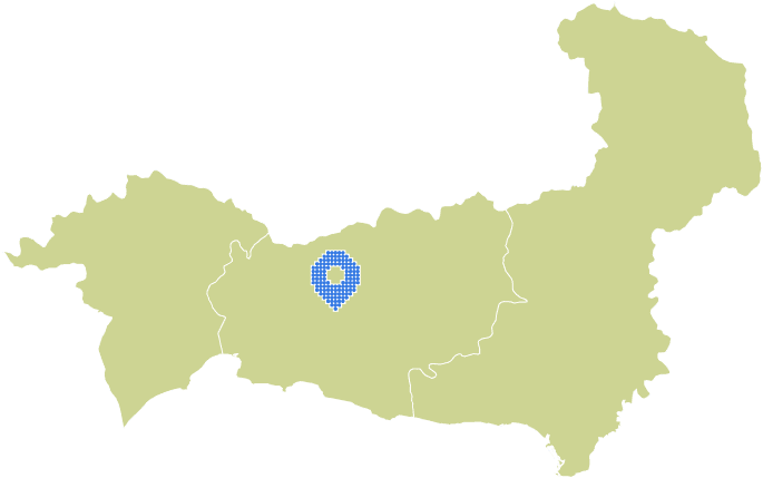 Overview Image