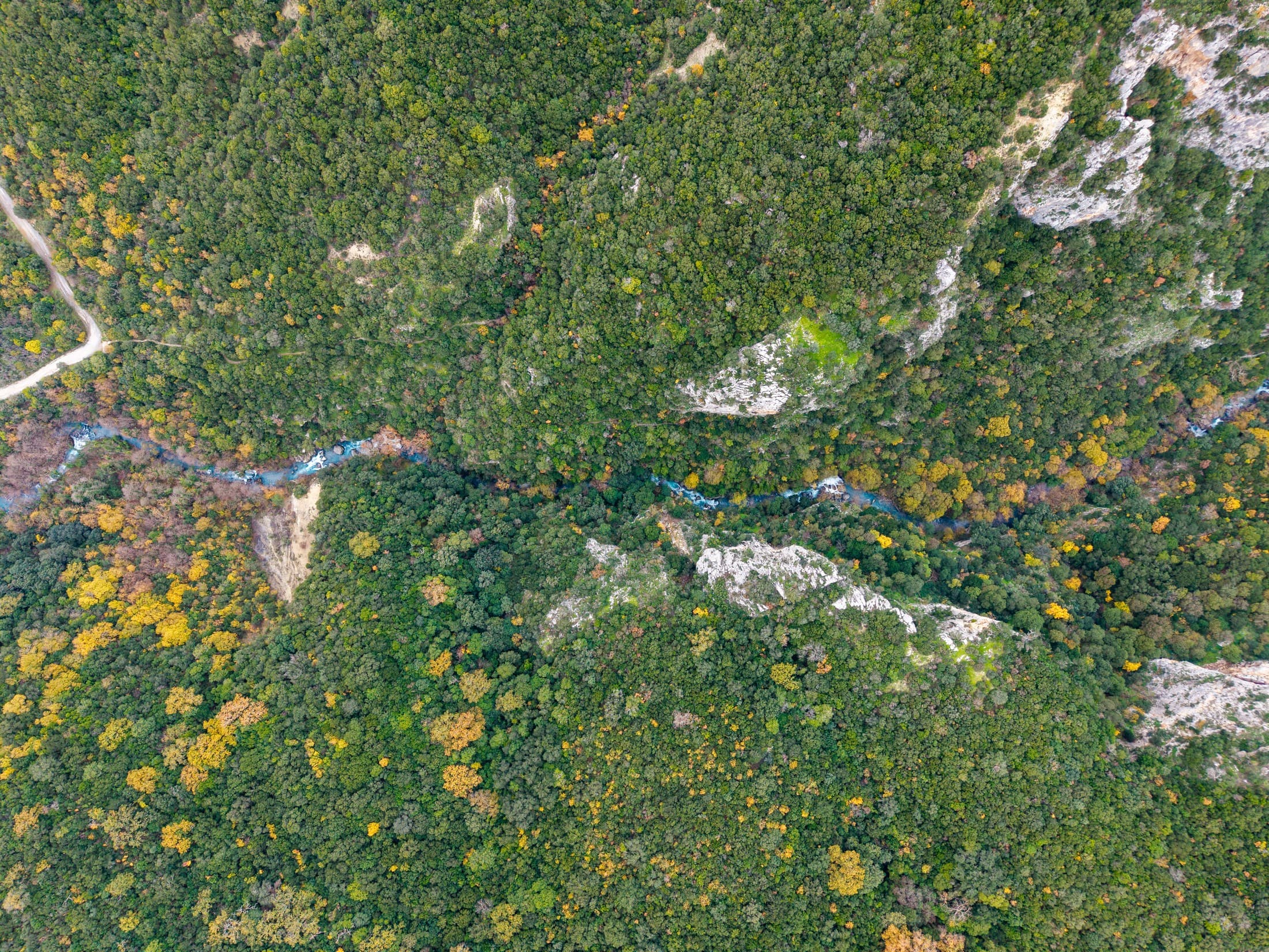 lousios-gorge