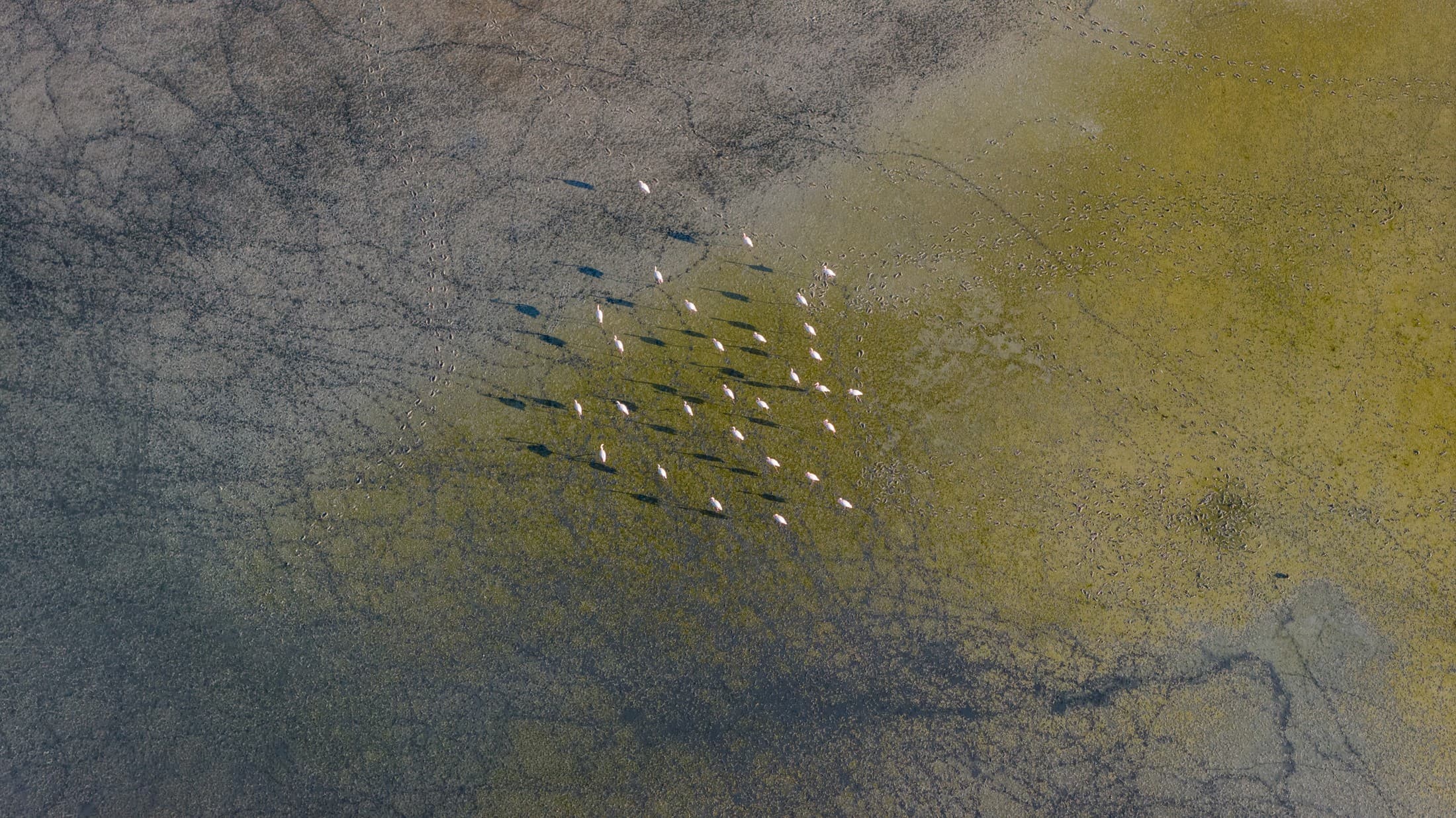 Psalidi Wetland